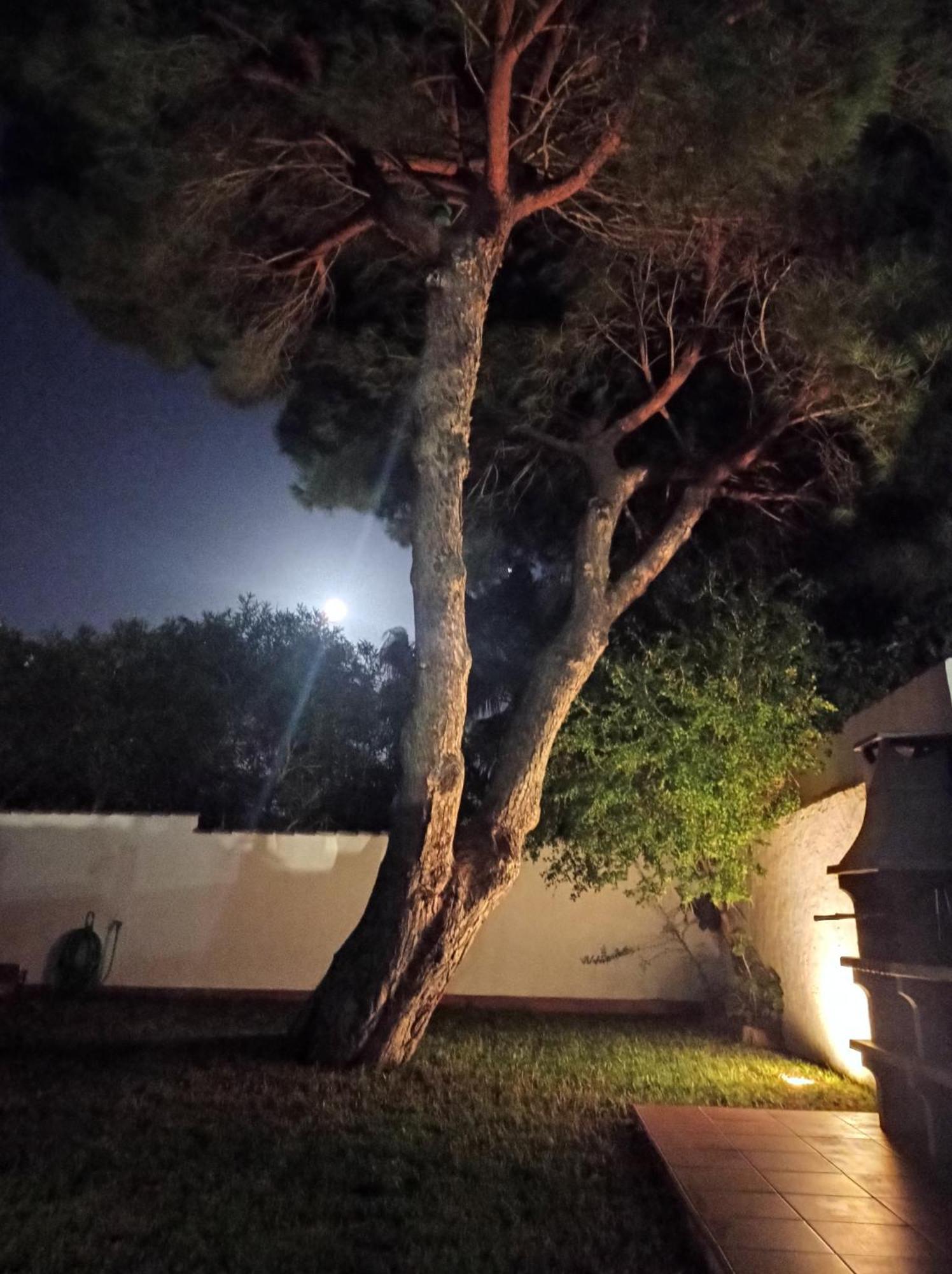 El Vivero Holiday home
